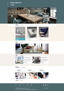 尼曼與ZCOOL 網(wǎng)頁(yè)與網(wǎng)站設(shè)計(jì)的魅力探析