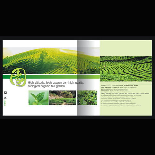 深圳產(chǎn)品圖冊(cè)與網(wǎng)站設(shè)計(jì)印刷服務(wù) 專(zhuān)業(yè)視覺(jué)呈現(xiàn)提升品牌價(jià)值